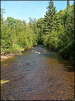 Genesee Creek 18.jpg