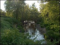 Genesee Creek 21.jpg