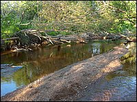 Genesee Creek 24.jpg