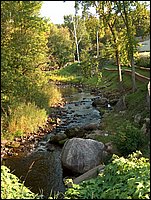 Genesee Creek At Memorial Park.jpg