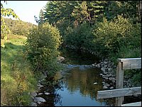 Genesee Creek From Bridge.jpg