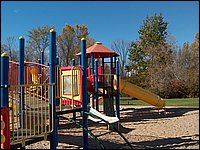 Lions Playground 3.jpg