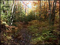 Porcupine Shortcut Trail.jpg