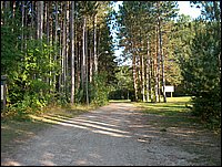 Road By Water Tower.jpg