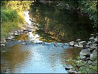 Rocks In Genesee Creek.jpg