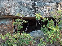 Rocks On Mountain.jpg