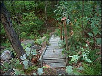 Stairs Down The Mountain.jpg