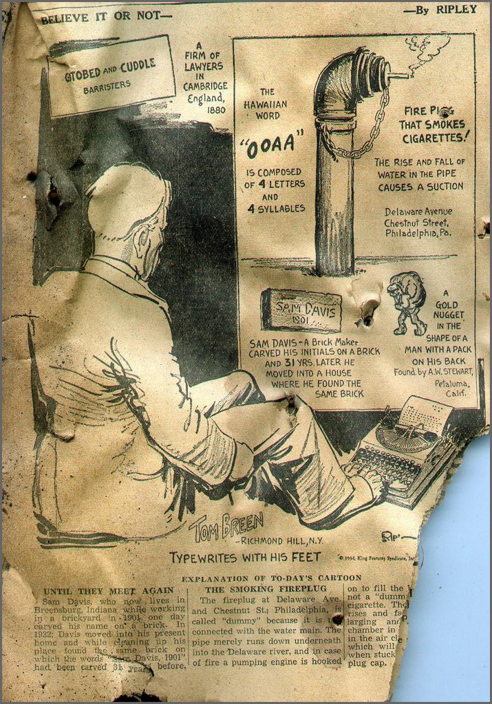 Annie Spetz's 81.jpg