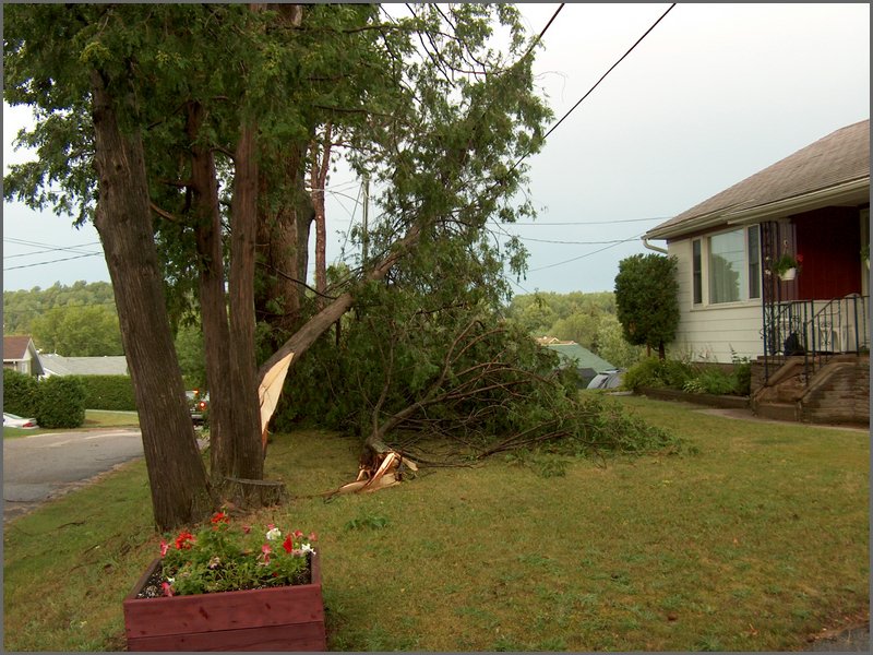 Storm -  July 2006 06.jpg