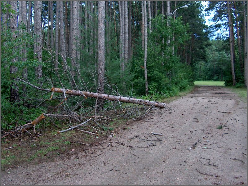 Storm -  July 2006 40.jpg