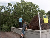 Storm -  July 2006 10.jpg