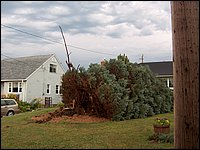 Storm -  July 2006 15.jpg