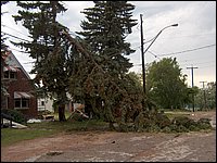 Storm -  July 2006 18.jpg