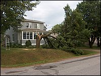 Storm -  July 2006 21.jpg