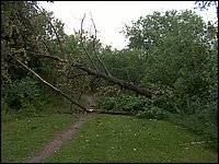 Storm -  July 2006 35.jpg