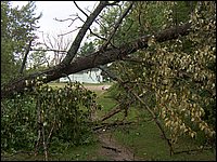 Storm -  July 2006 36.jpg