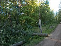 Storm -  July 2006 47.jpg