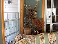 Swallowdale Inn B&B 34.jpg