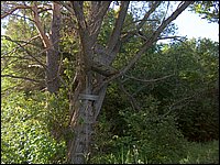 Swallowdale Inn B&B 65.jpg