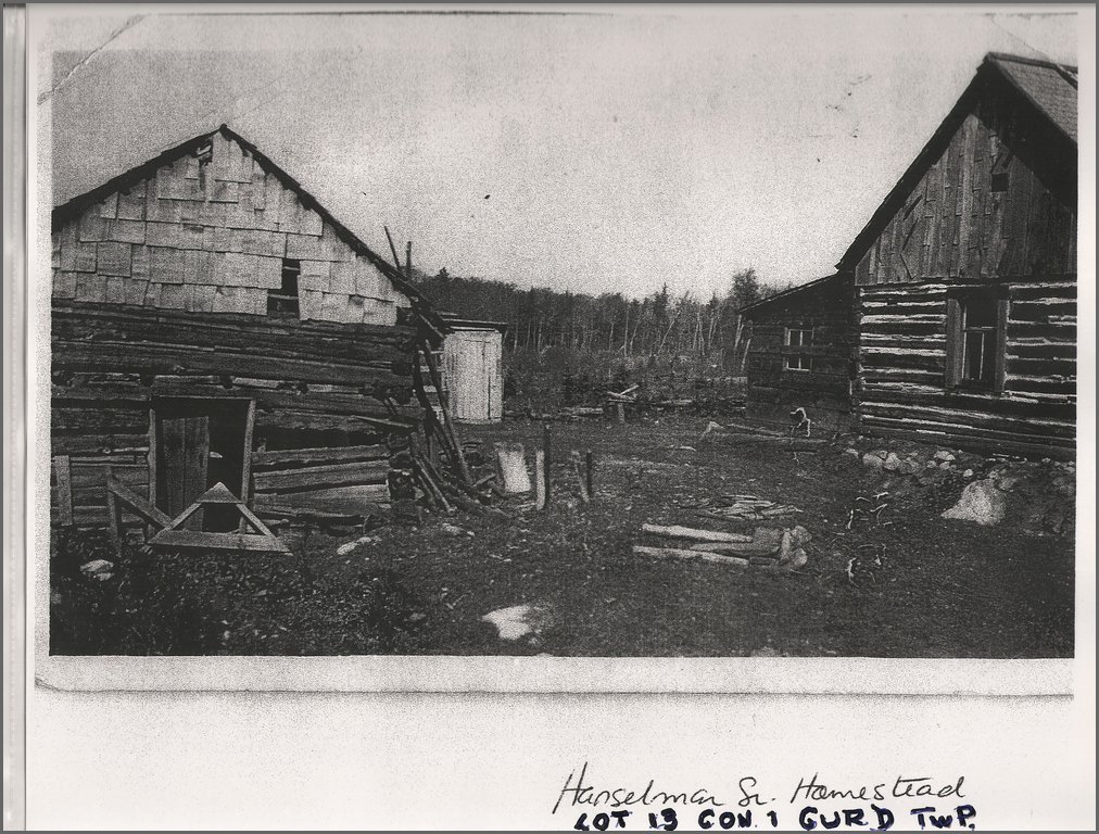 Hanselman Homestead Lot 13 Con 1 Gurd Twp.jpg
