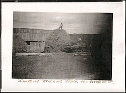 Jim Kelly Stacking Grain.jpg