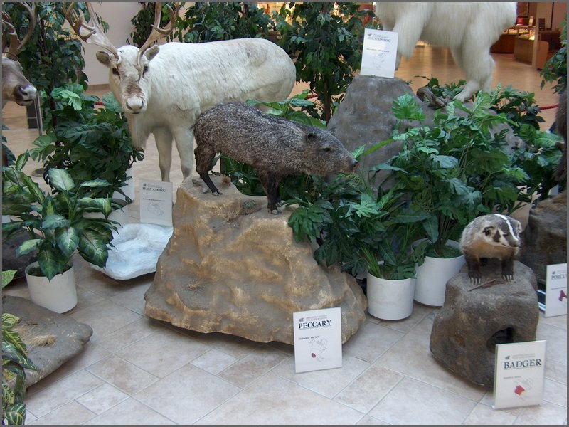HPIM3039.JPG