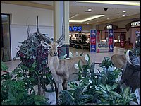 Wildlife Museum 03.jpg