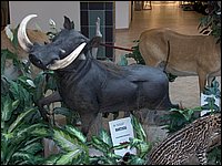 Wildlife Museum 05.jpg