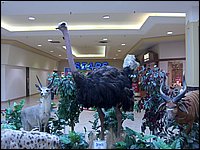 Wildlife Museum 17.jpg
