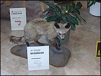 Wildlife Museum 23.jpg