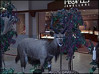 Wildlife Museum 28.jpg
