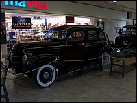 Wildlife Museum 33.jpg