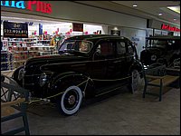 Wildlife Museum 34.jpg