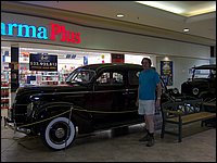 Wildlife Museum 38.jpg