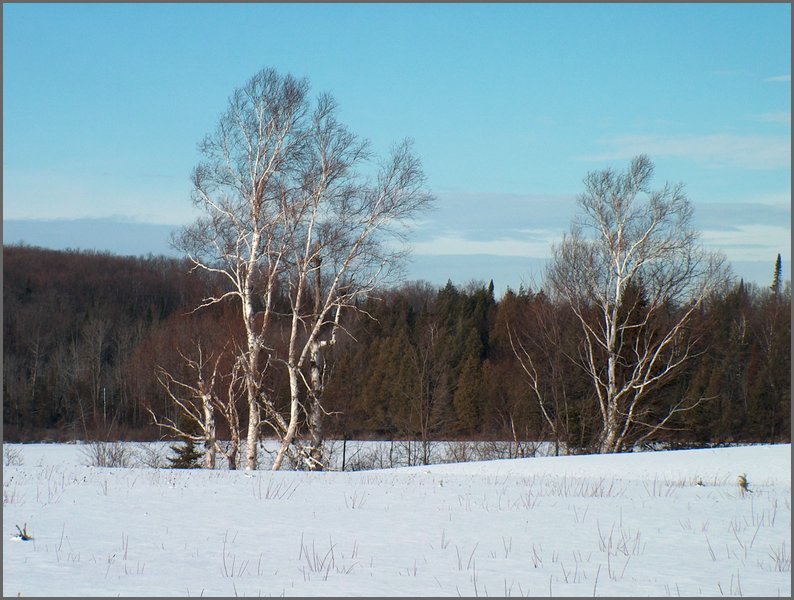 Mud Lake Dec 2003_08.JPG