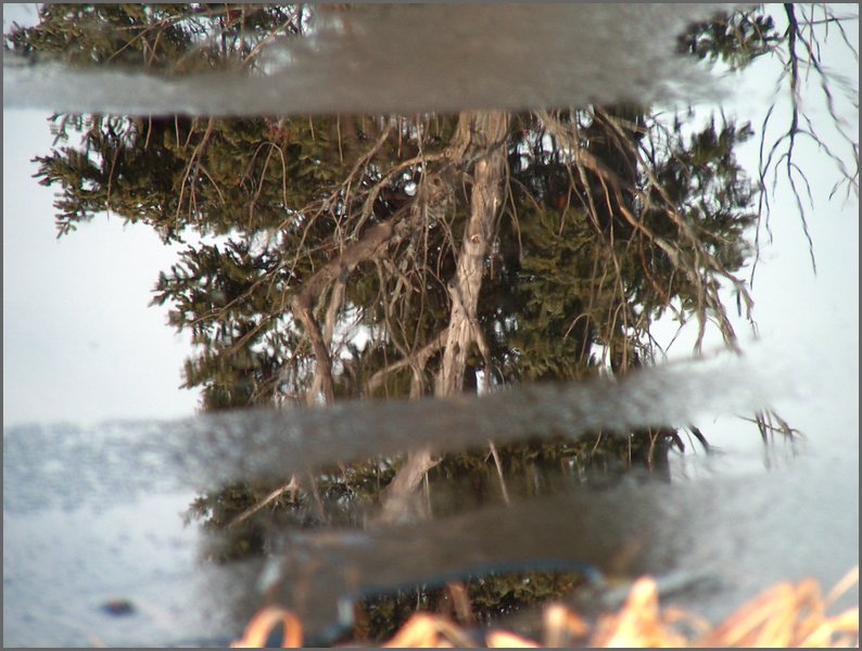 Mud Lake Dec 2003_18.JPG