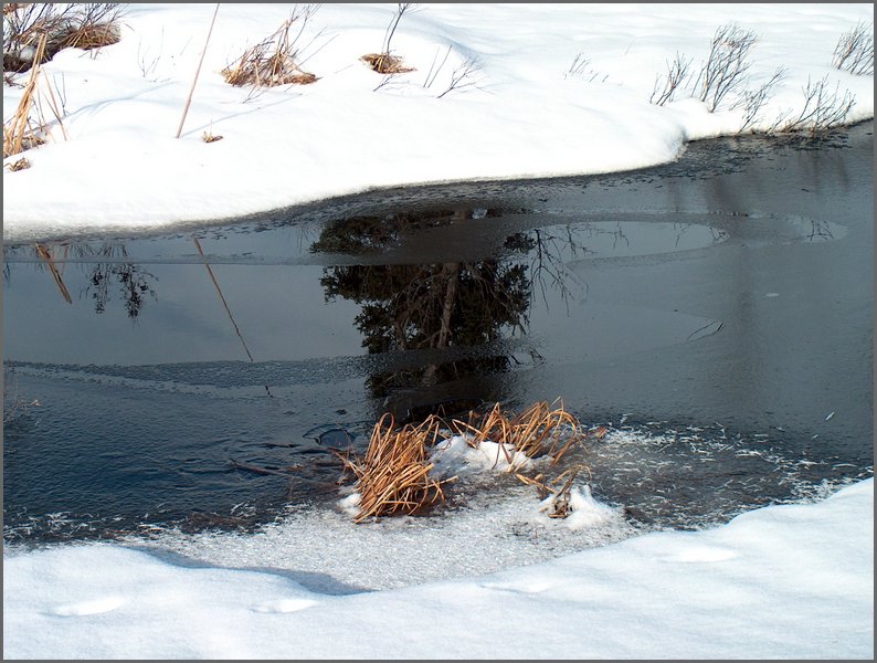 Mud Lake Dec 2003_19.JPG