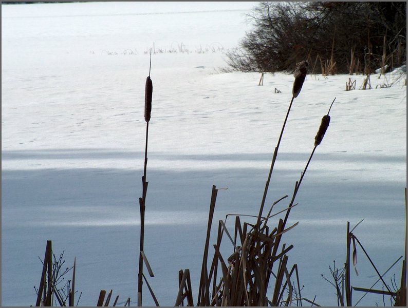 Mud Lake Dec 2003_22.JPG