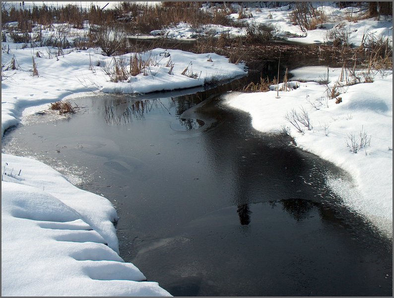 Mud Lake Dec 2003_25.JPG