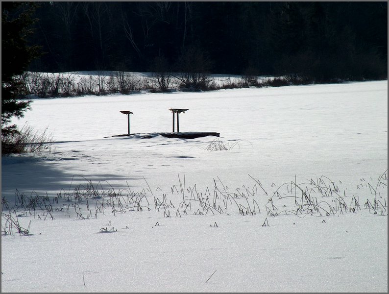 Mud Lake Dec 2003_35.JPG