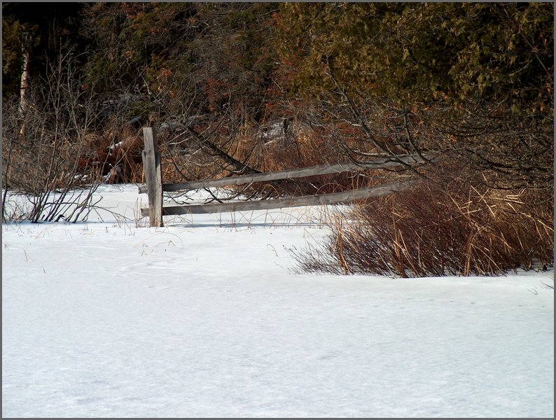 Mud Lake Dec 2003_36.JPG