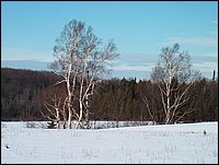 Mud Lake Dec 2003_08.JPG