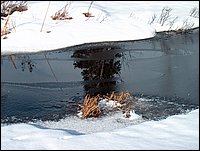 Mud Lake Dec 2003_19.JPG