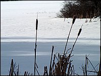 Mud Lake Dec 2003_22.JPG