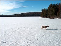 Mud Lake Dec 2003_37.JPG