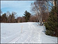 Wolfe Lake Dec 2003_09.JPG