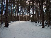 Wolfe Lake Dec 2003_30.JPG