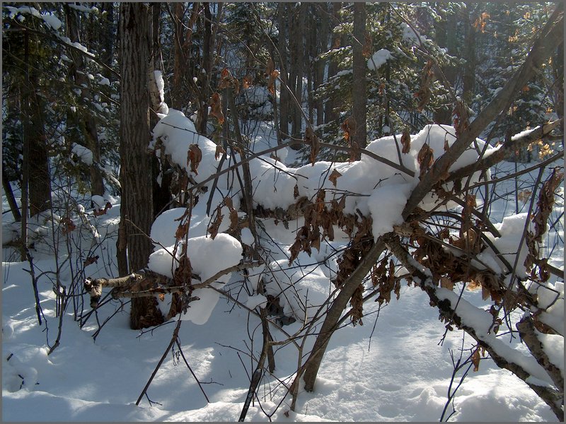 Hpim0093.jpg