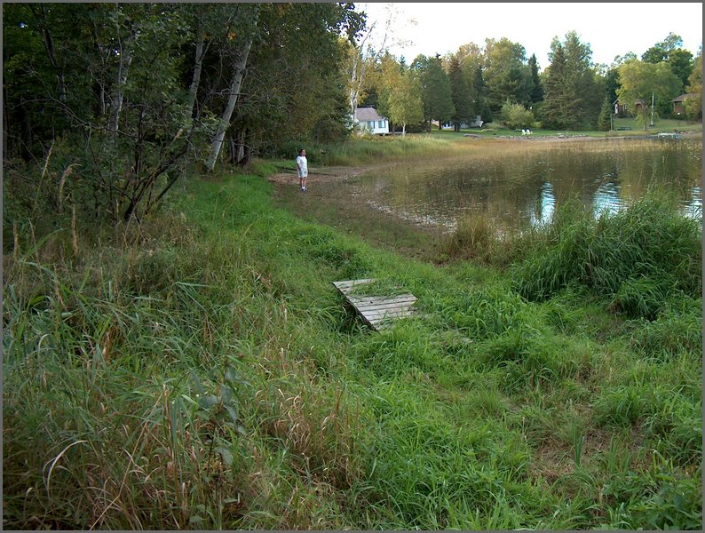 Bridge Over Creek.JPG