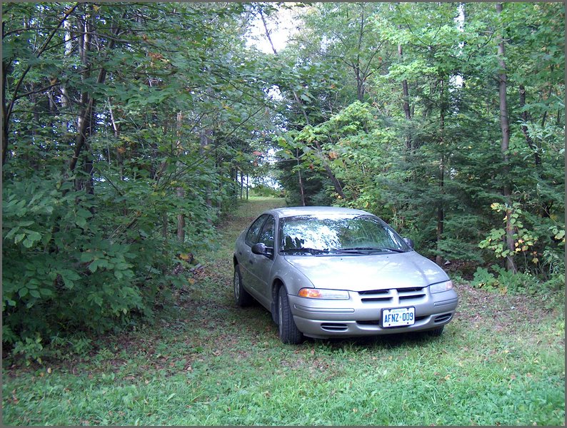 Driveway To Lakeshore Lot.JPG